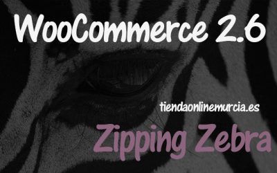 Crear zonas de envío en Woocommerce