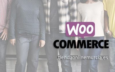Woocommerce: Crear precios para grupos premium, mayoristas o distribuidores con Woocommerce