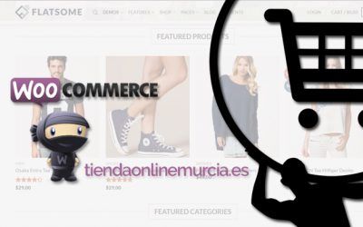 Qué es Woocommerce y cómo funciona / Guía Woocommerce
