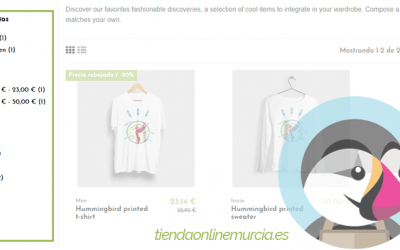 Cómo añadir filtros búsqueda productos Prestashop / Búsqueda por facetas / Navegación por facetas