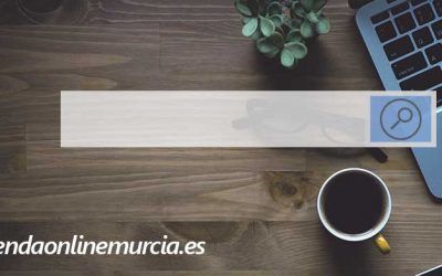 Cómo añadir una barra de búsqueda productos al header con Woocommerce y WordPress