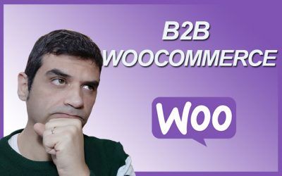 B2B WOOCOMMERCE: Cómo crear una tienda online con WordPress/Woocomerce para vender a Profesionales o empresas con Woocommerce (incluye vídeo)